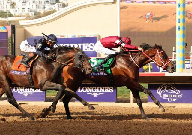 【ドバイワールドカップデー・まとめ】各レースの発走時刻や放送予定は?　フォーエバーヤングなど日本馬6頭が出走　