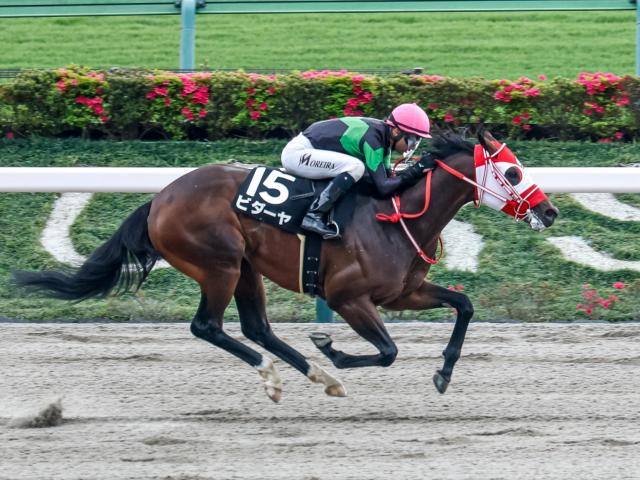 【有力馬動向】ビダーヤが栗東CWで豪快な伸び/馬三郎のつぶやき