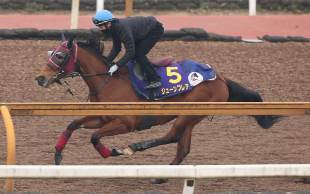 【高松宮記念】(18)ジューンブレア　逃げ馬に追走だ