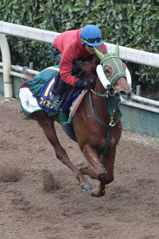 【高松宮記念】(16)フィオライア　太宰に全権委任