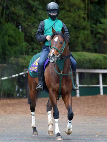 【高松宮記念】「今の中京なら内の方が絶対にいい」パンジャタワーは最内枠で橋口調教師に手応え深める