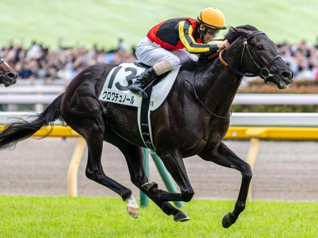 【大阪杯】GI昇格後初の父仔制覇へ キタサンブラック産駒の2頭が参戦だ