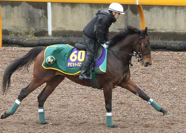 【大阪杯】デビットバローズで3連覇かかる上村調教師&ロードカナロア産駒「一発がないかなと思っている」