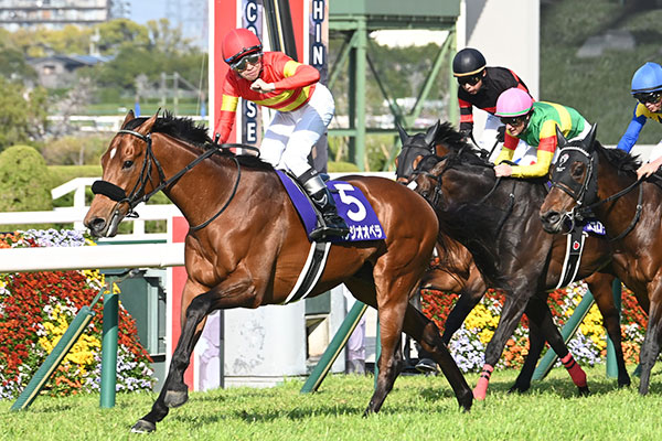 【大阪杯予想】重い馬場で行われる大阪杯のトラックバイアス