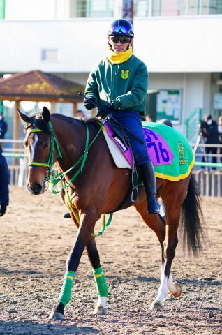 【チャーチルダウンズC】ファンクション　“桜の雪辱”期待　相田助手「輸送は問題ない」