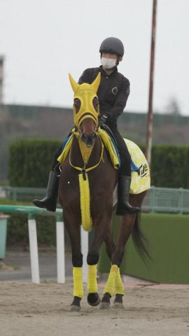 【ダービー卿CT】エンペラーズソード　変わり身あるぞ　高木師「馬場が悪いのは…」