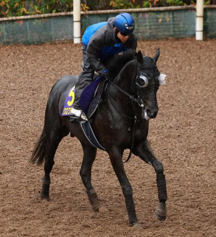 【大阪杯】クロワデュノール　復権へ態勢整う　斉藤崇師「問題ありません」