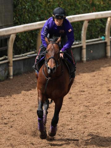 【大阪杯】ヨーホーレイク　昨年3着の雪辱だ!　8歳ディープ産駒の底力期待「脚元の不安もない」