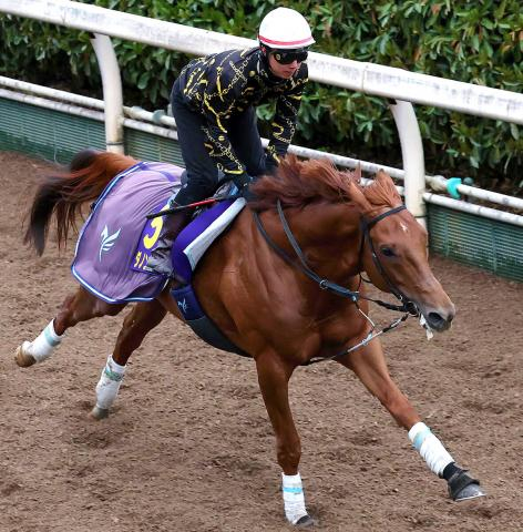 【大阪杯】ダノンデサイルは坂路を馬なりで鋭く伸びた　安田調教師「現時点では求めている雰囲気にはあります」