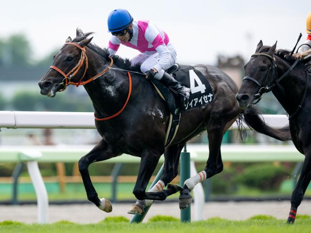 【週末情報】ケイアイセナがダービー卿CTでマイルに挑戦/馬三郎のつぶやき