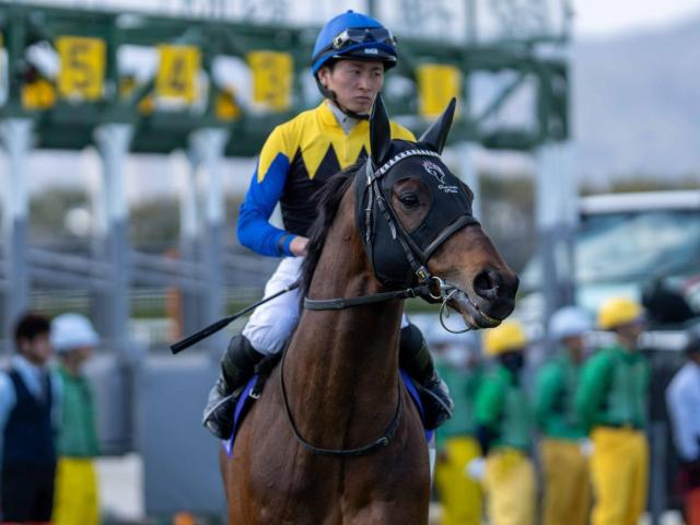 【大阪杯】ディープインパクト産駒が17年連続のJRA重賞制覇へ ヨーホーレイクが一発狙う