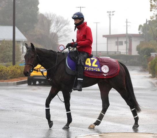 【チャーチルダウンズC】G1で1番人気の素質馬アンドゥーリルが巻き返し狙う　陣営「マイルがいい方に出れば」