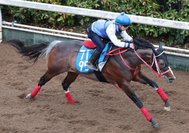 【ダービー卿CT】スズハロームはラストの伸び脚が際立つ　牧田調教師「思ったより時計は出ていました」