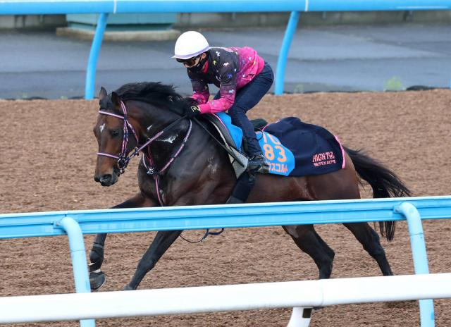 【ダービー卿CT】シリウスコルトはダイナミックな動きで好調アピール　田中勝調教師「折り合い面も大丈夫」
