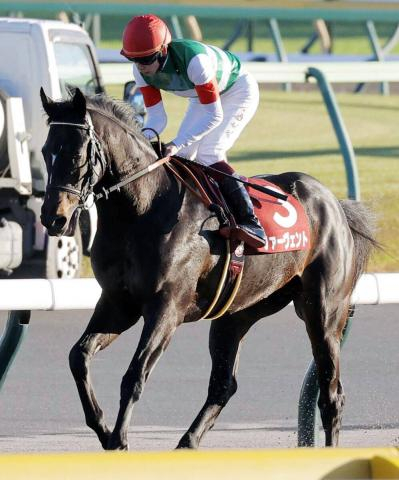 【ダービー卿CT】1週前が伸び抜群だったファーヴェントは軽めで十分　藤原調教師「体もしっかりしてきた」