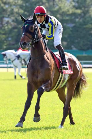 【注目馬動向】ジョバンニも香港のQE2世Cへ　ミュージアムマイルやマスカレードボールなど日本馬が続々参戦