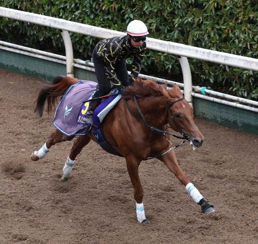 【大阪杯】(4)ダノンデサイル　ダービーと同じ赤帽から勝利を　安田師「いつもと同じ雰囲気」