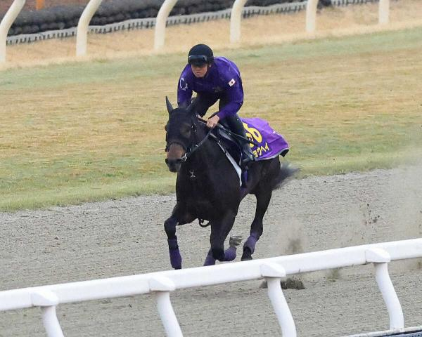【大阪杯】(5)ショウヘイ　内めの枠に納得　友道師「若干の雨ぐらいならいいのでは」