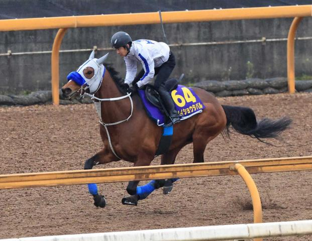 【大阪杯】(6)メイショウタバル　雨でも問題ない　石橋師「内めでいいんじゃないかな」