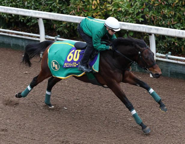 【大阪杯】(11)デビットバローズ　大駆けムード漂う「馬場のいいところを走れそう」