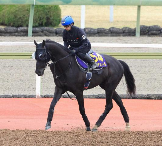 【大阪杯】(15)クロワデュノール　枠は気にしない　斉藤崇師「スタートが速い馬だし」