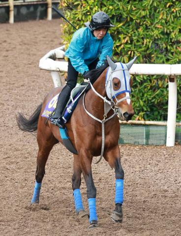 【大阪杯】5戦連続で武豊騎手とコンビのメイショウタバルは元気よく前日調整　石橋調教師「いつも通りの雰囲気」