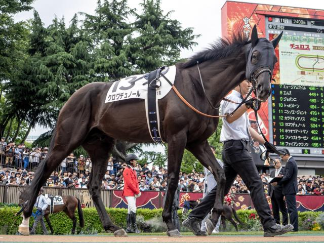 【大阪杯前日オッズ】クロワデュノールが2.5倍で1番人気
