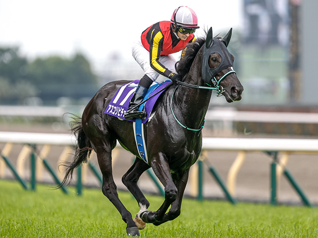 【阪神牝馬S】アスコリピチェーノ、エンブロイダリーなどが登録