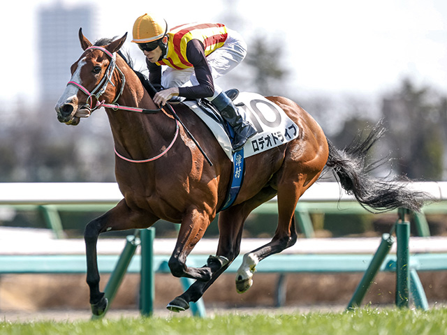 【ニュージーランドT】ヒズマスターピース、ロデオドライブなどが登録