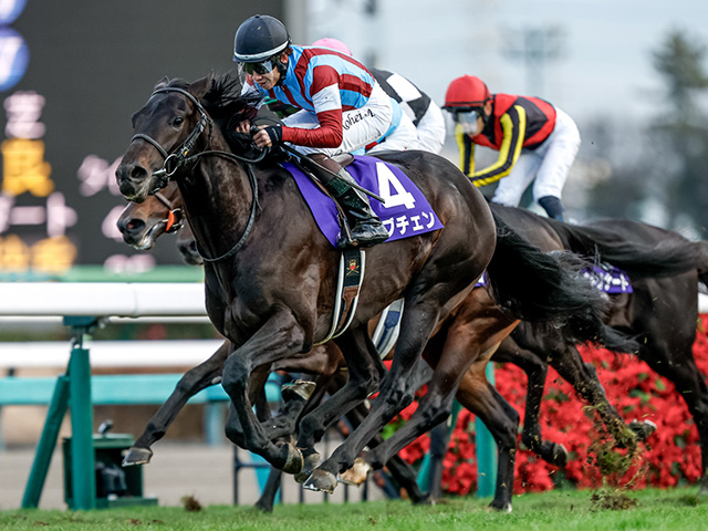 【皐月賞】ロブチェン、パントルナイーフなどが登録