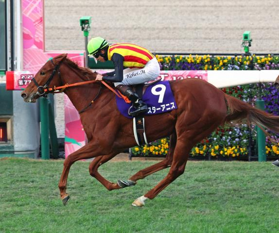 【桜花賞展望】昨年2歳女王スターアニスが直行ローテで参戦　関東馬ドリームコアは栗東滞在で準備万端