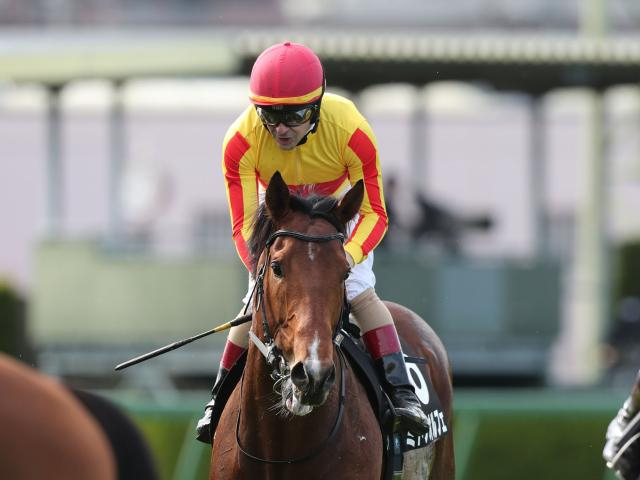 【心斎橋Sレース後コメント】ミトノオルフェ C.ルメール騎手ら