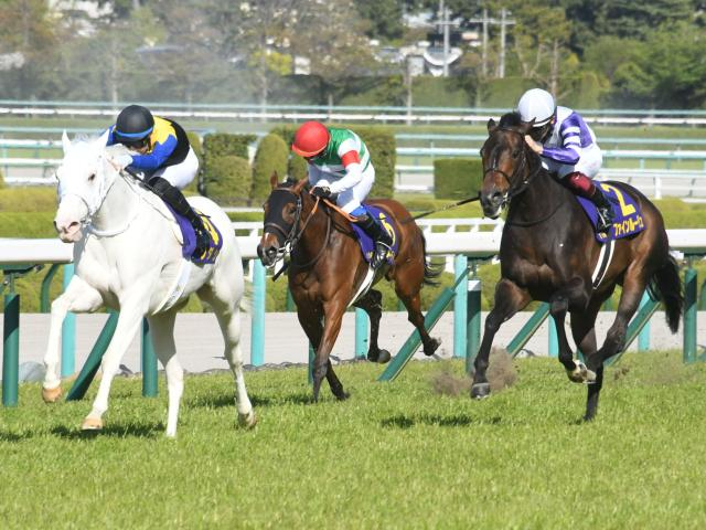 桜花賞勝ち時計ランキング 1位は白毛馬初のクラシックV