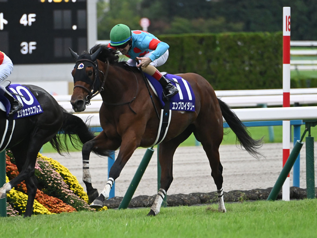 【阪神牝馬S見どころ】昨年の牝馬二冠エンブロイダリーなどGI馬3頭が競演