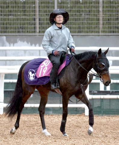 【桜花賞・ヤマタケの特注馬】潜在能力NO1　G1のよどみない流れ+武豊騎手の継続騎乗でアランカールの復活ある