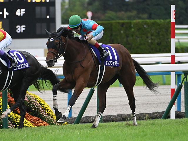 【阪神牝馬S想定騎手】エンブロイダリーはC.ルメール騎手、アスコリピチェーノは坂井瑠星騎手