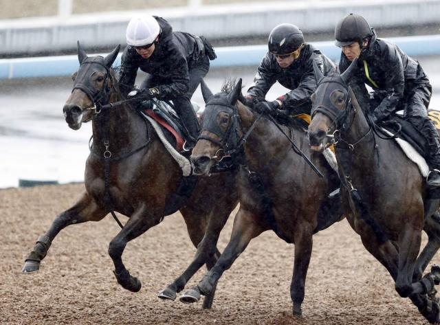 【桜花賞・角田の特注馬】近2走は不利が大きく度外視していい　大舞台で大駆けの気配漂うショウナンカリス