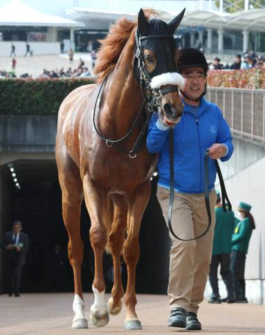 【忘れな草賞・坂本の特注馬】心肺機能の高さは一級品!　ダーリングハーストが距離を延ばして真価を発揮　