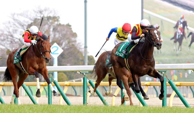 【桜花賞】クイーンCから直行“必勝ローテ”で臨むドリームコアは充実一途　母ノームコアとの母娘G1制覇目指せる出来