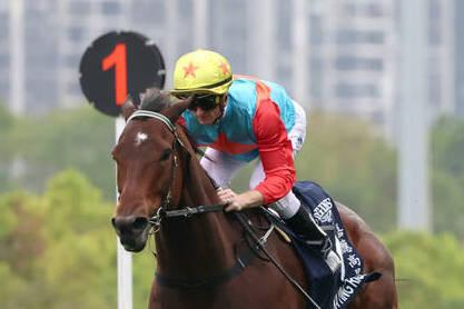 単勝1・0倍の圧倒的人気に応えカーインライジングが19連勝　香港競馬の連勝記録を更新　2番人気は70倍