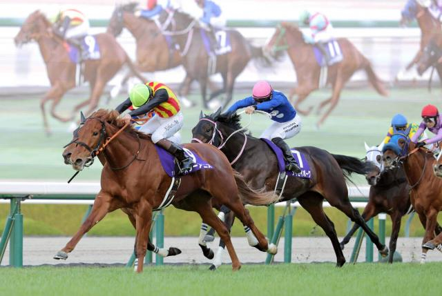 【桜花賞】もはや“黄金ローテ”　スターアニスに死角なし!　馬体の成長にも「アスリートの部類ですね」と高野調教師は手応え十分