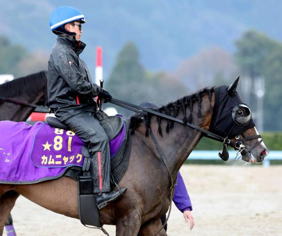 【阪神牝馬S】秋華賞はまさかの大敗も「落ち着きもあるし、雰囲気はいい」と友道調教師　カムニャックが4歳初戦で巻き返す