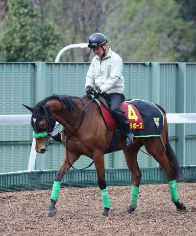 【桜花賞】ギャラボーグ　新タッグで反撃　吉松助手「気性面はだいぶ大人になっている」