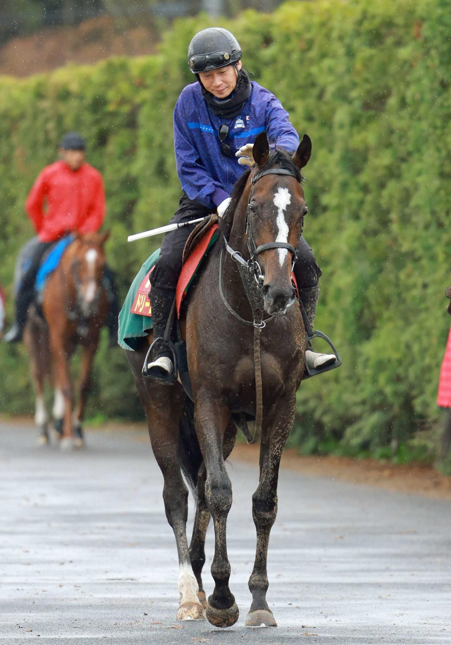【桜花賞】ドリームコア　桜冠奪取へ　初の関西遠征も素質は一流　データも唯一の減点なし