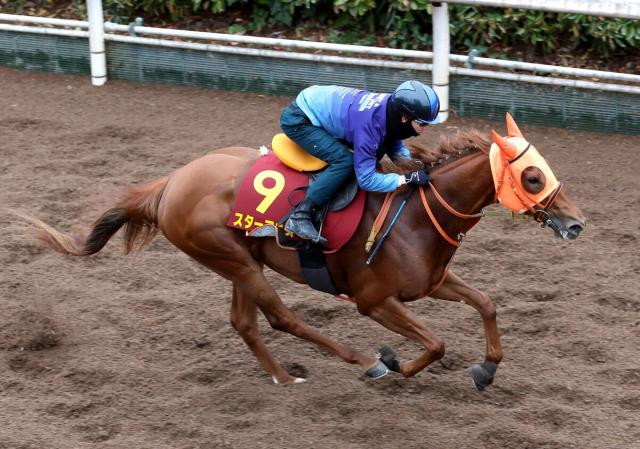 【桜花賞】ソダシ&リバティアイランドと同じ阪神JF勝利から直行　スターアニス桜の冠へ死角なし