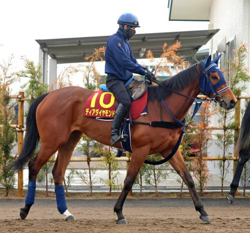 【桜花賞】アネモネSで3馬身差完勝のディアダイヤモンドは体調良好　中3週での出走にも手塚久調教師「いい雰囲気」