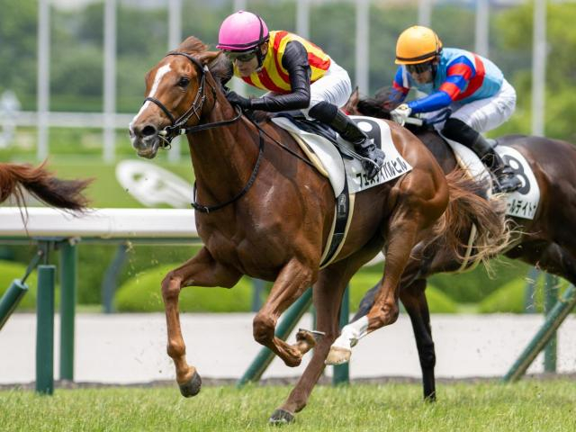 【桜花賞】坂井瑠星騎手がクラシック初制覇なるか ファンタジーS覇者のフェスティバルヒルで参戦