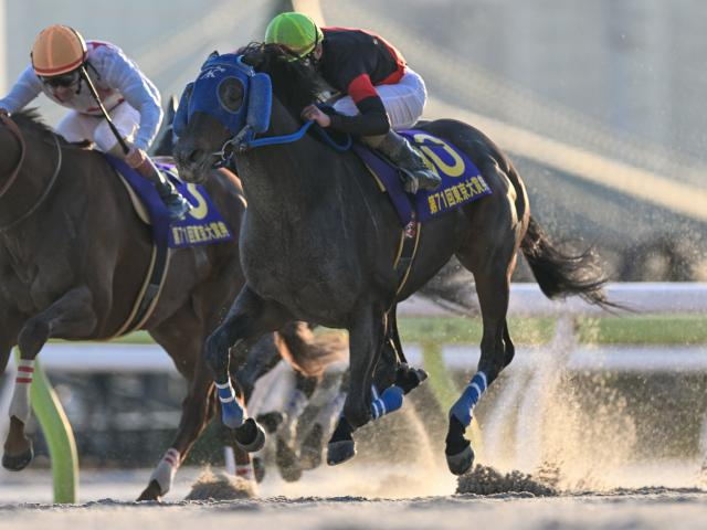 【川崎・川崎記念注目馬】川崎の今年最初のダートグレード戦にダートの頂点を狙う実力馬が参戦！