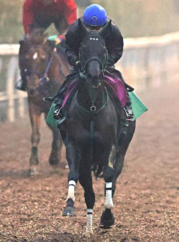 【忘れな草賞】クイーンC15着のニシノサリーナが積極策で巻き返す　橋口調教師「今回は逃げてもらうと思います」