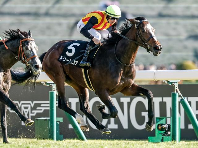 【桜花賞予想オッズ】ドリームコアが予想1番人気